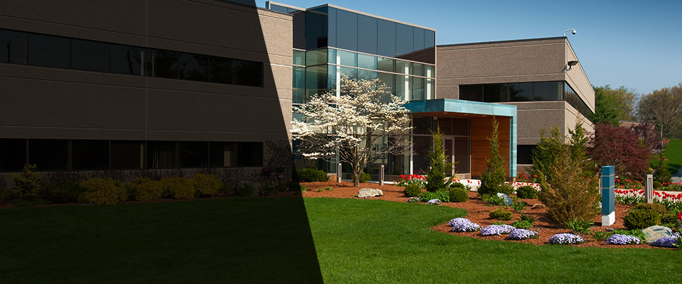 Berkley Landscapers
