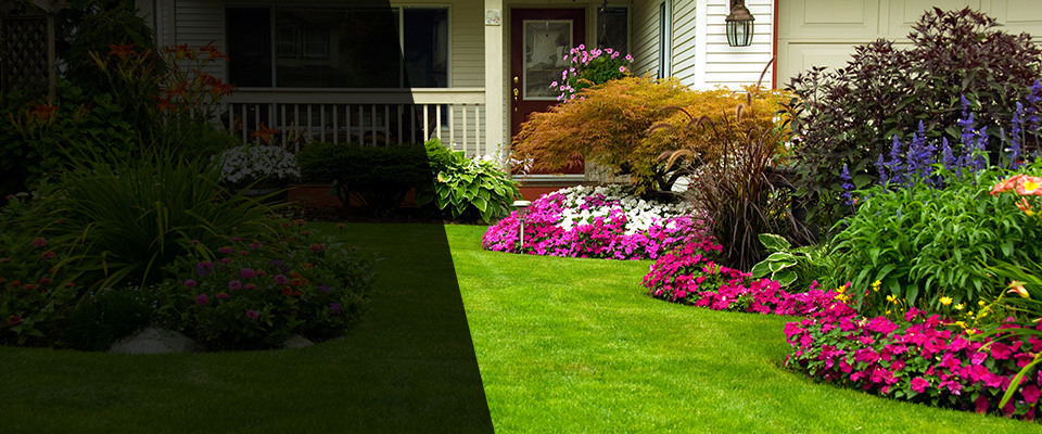 Berkley Landscapers