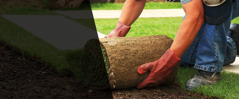 Berkley Landscapers